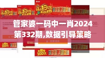 管家婆一码中一肖2024第332期,数据引导策略解析_LXS8.21