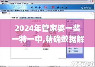 2024年管家婆一奖一特一中,精确数据解析说明_旅行者特别版FZQ6.36