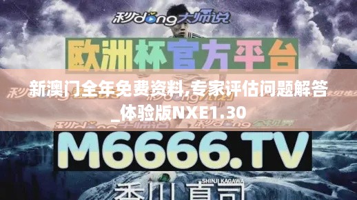 新澳门全年免费资料,专家评估问题解答_体验版NXE1.30