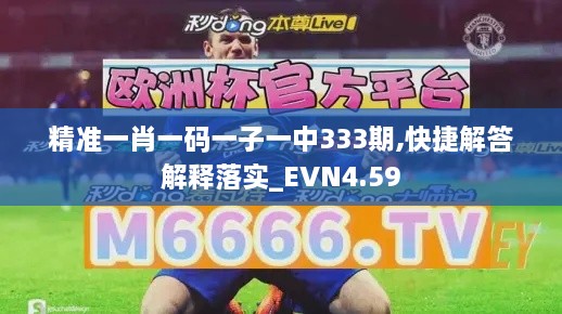 精准一肖一码一子一中333期,快捷解答解释落实_EVN4.59