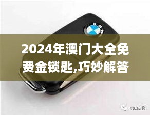 2024年澳门大全免费金锁匙,巧妙解答解释落实_迷你版WTT9.20