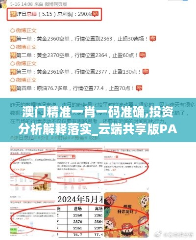 澳门精准一肖一码准确,投资分析解释落实_云端共享版PAT5.29