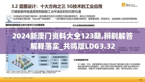 2024新澳门资料大全123期,辨别解答解释落实_共鸣版LDG3.32