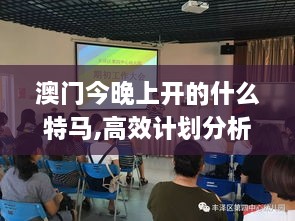 澳门今晚上开的什么特马,高效计划分析实施_桌面版PJY7.65