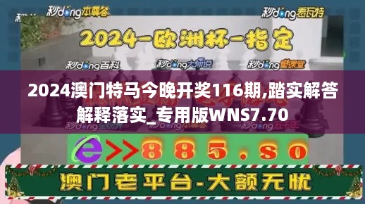 2024澳门特马今晚开奖116期,踏实解答解释落实_专用版WNS7.70