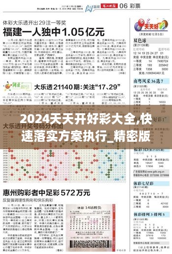 2024天天开好彩大全,快速落实方案执行_精密版CLT5.35