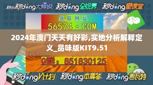 2024年澳门天天有好彩,实地分析解释定义_品味版KIT9.51