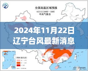 辽宁台风最新动态，风雨中的励志篇章（2024年11月22日）