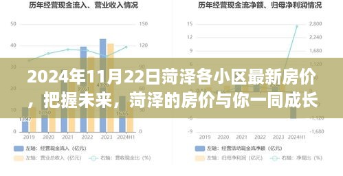 菏泽房价动态，2024年最新数据揭示，家园梦想之旅启程