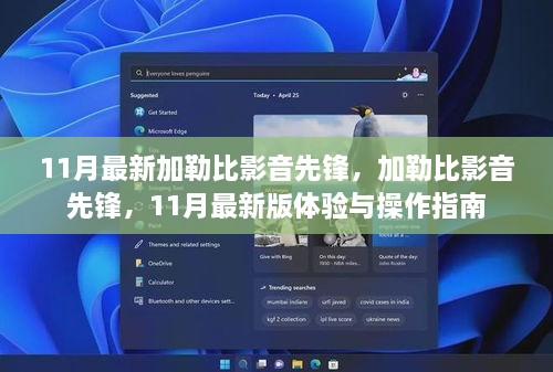 加勒比影音先锋，11月最新版体验与操作指南