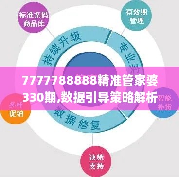 7777788888精准管家婆330期,数据引导策略解析_JWT6.73