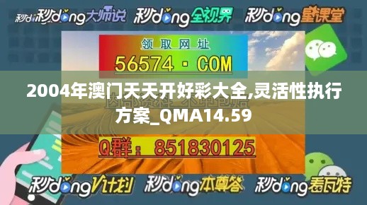 2004年澳门天天开好彩大全,灵活性执行方案_QMA14.59