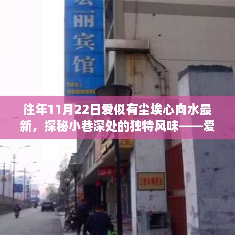 探秘小巷深处的独特风味，爱似有尘埃心向水最新特色小店之旅