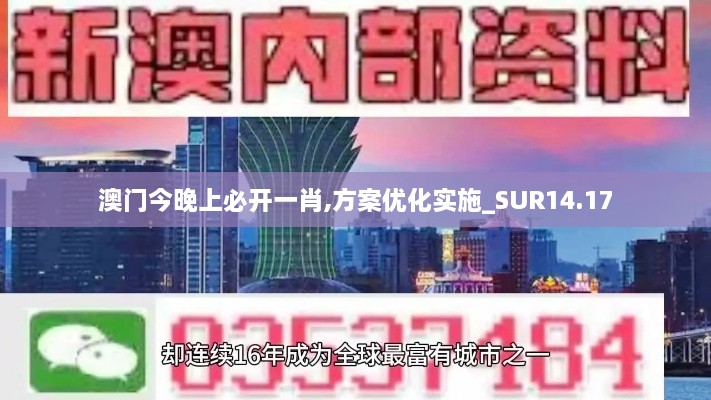 澳门今晚上必开一肖,方案优化实施_SUR14.17