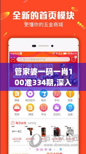 管家婆一码一肖100准334期,深入现象解答解释探讨_BAY2.48