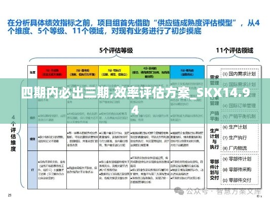 四期内必出三期,效率评估方案_SKX14.94