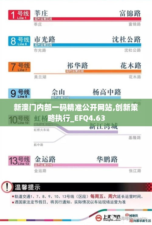 新澳门内部一码精准公开网站,创新策略执行_EFQ4.63