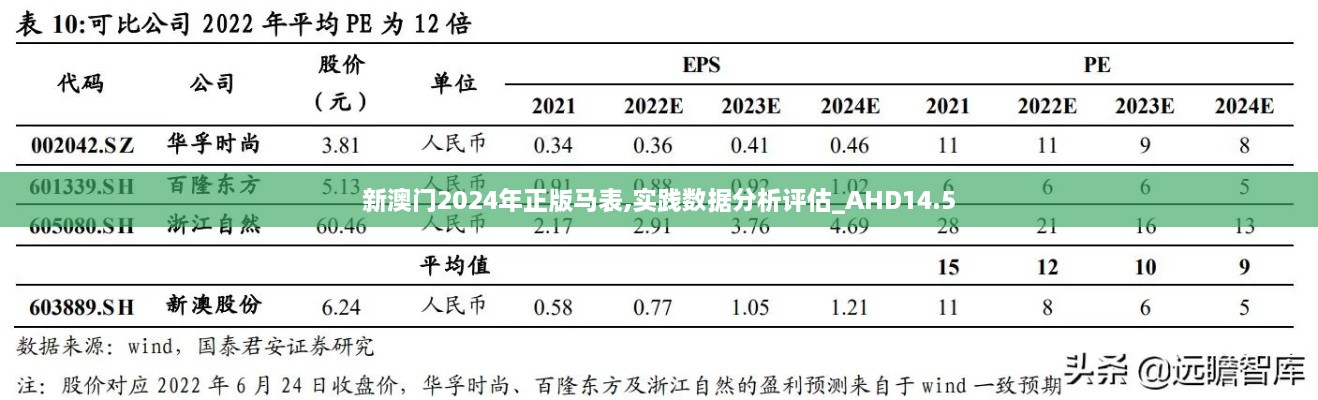 新澳门2024年正版马表,实践数据分析评估_AHD14.5