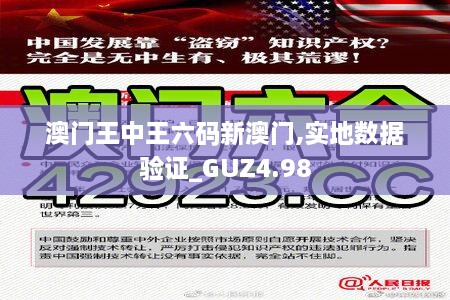 澳门王中王六码新澳门,实地数据验证_GUZ4.98