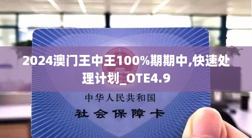 2024澳门王中王100%期期中,快速处理计划_OTE4.9