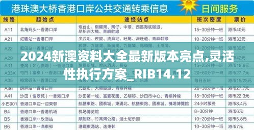 2024新澳资料大全最新版本亮点,灵活性执行方案_RIB14.12