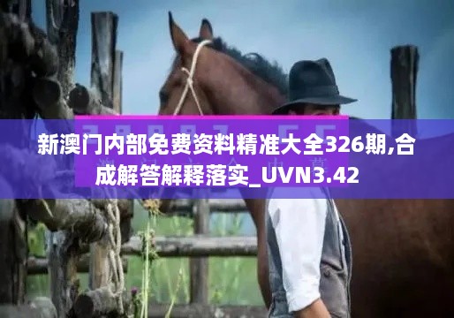 新澳门内部免费资料精准大全326期,合成解答解释落实_UVN3.42