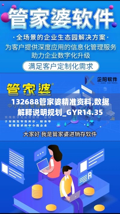 132688管家婆精准资料,数据解释说明规划_GYR14.35