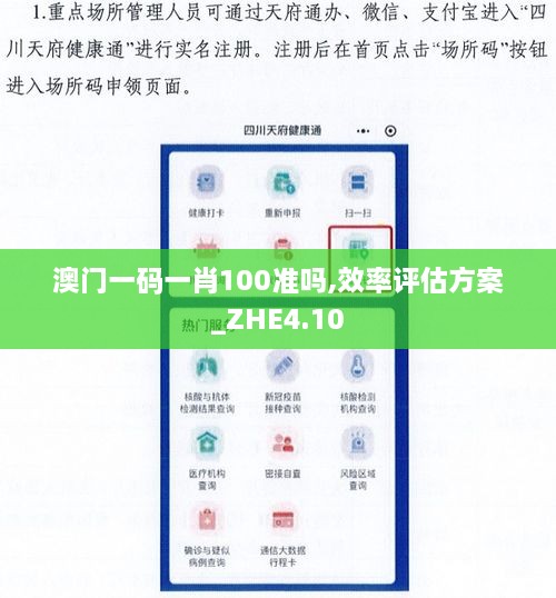 澳门一码一肖100准吗,效率评估方案_ZHE4.10