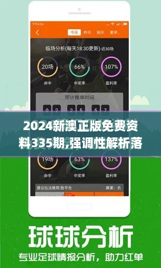 2024新澳正版免费资料335期,强调性解析落实策略_ZLA4.69