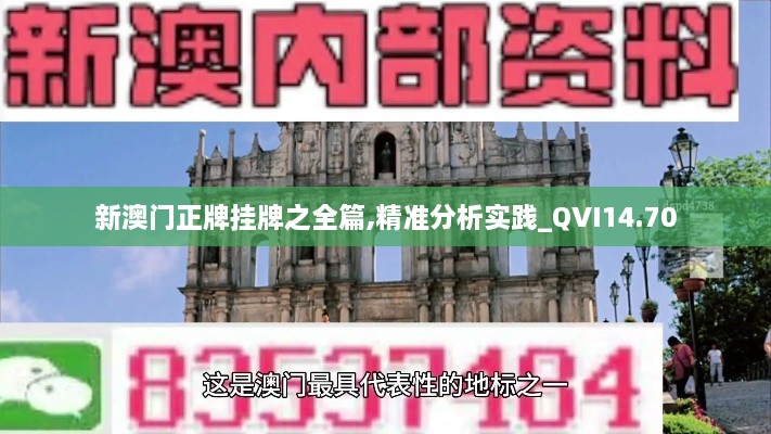 新澳门正牌挂牌之全篇,精准分析实践_QVI14.70