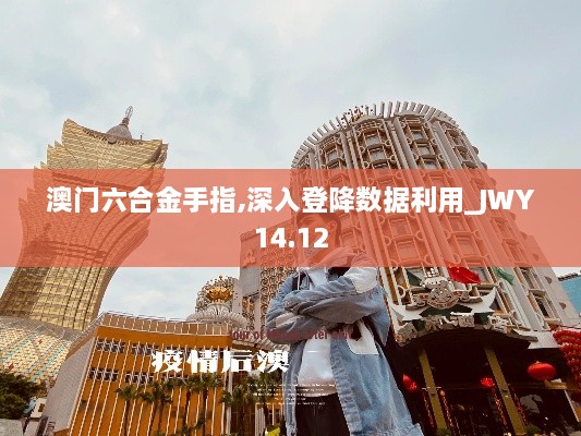 澳门六合金手指,深入登降数据利用_JWY14.12