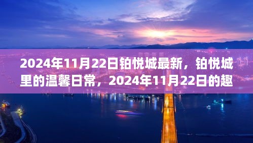 铂悦城温馨日常与趣事回顾，2024年11月22日的友情与日常