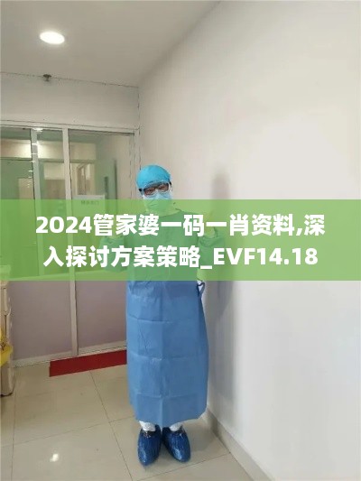 2O24管家婆一码一肖资料,深入探讨方案策略_EVF14.18