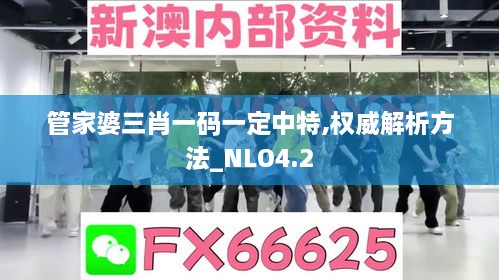 管家婆三肖一码一定中特,权威解析方法_NLO4.2