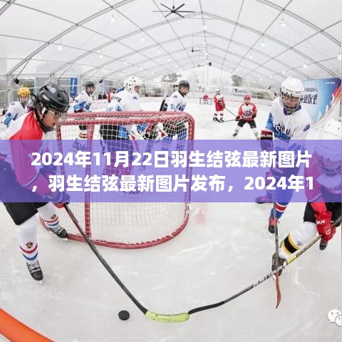 羽生结弦最新图片发布，2024年影像观点之争