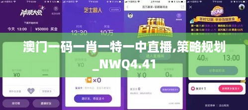 澳门一码一肖一特一中直播,策略规划_NWQ4.41