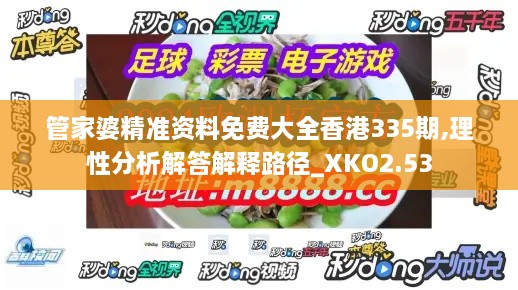 管家婆精准资料免费大全香港335期,理性分析解答解释路径_XKO2.53