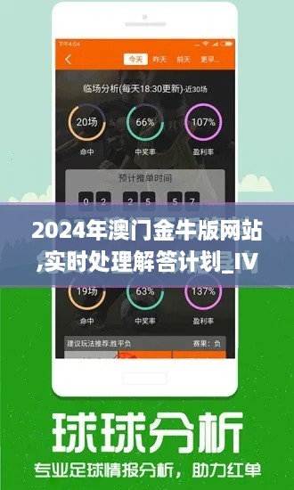 2024年澳门金牛版网站,实时处理解答计划_IVT4.73