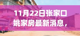 探秘张家口姚家房，11月22日的新鲜故事与隐藏瑰宝