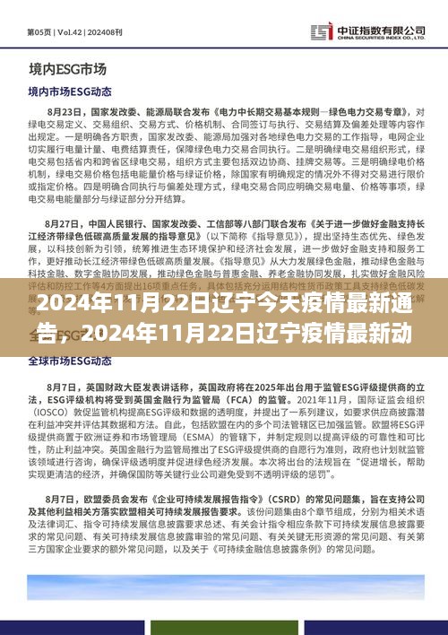 2024年11月22日辽宁今天疫情最新通告，2024年11月22日辽宁疫情最新动态与防控通告