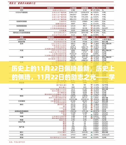 历史上的11月22日佩琦最新，历史上的佩琦，11月22日的励志之光——学习变化，自信成就梦想之旅