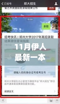 11月伊人最新一本，伊人成长之路，详细步骤指南阅读11月伊人最新一本