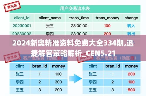 2024新奥精准资料免费大全334期,迅捷解答策略解析_CEN5.21