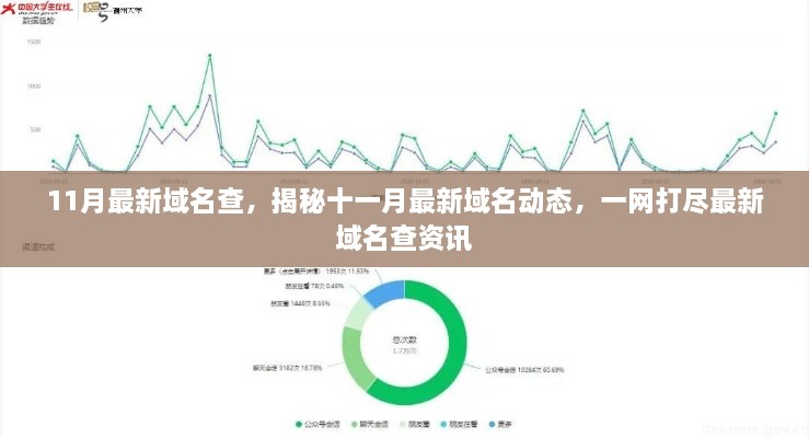 揭秘十一月最新域名动态，一网打尽最新域名查资讯