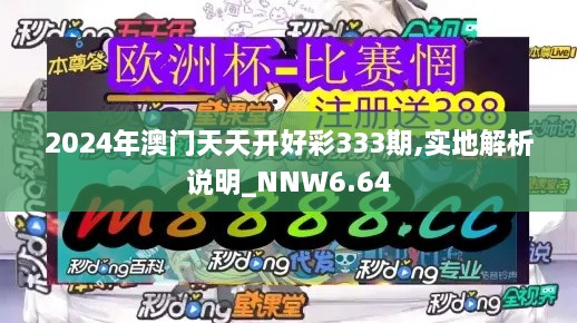 2024年澳门天天开好彩333期,实地解析说明_NNW6.64