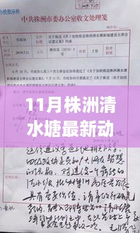 株洲清水塘11月新动态揭秘，变化之月，成就感的源泉