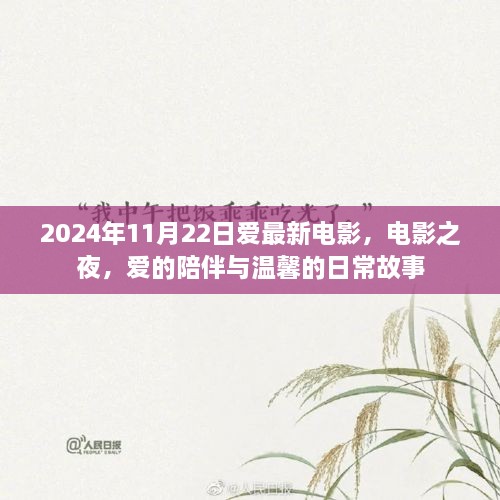 电影之夜，爱的陪伴与温馨日常故事（2024年11月22日最新电影）