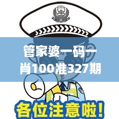 管家婆一码一肖100准327期,专业分析说明_DZI7.61