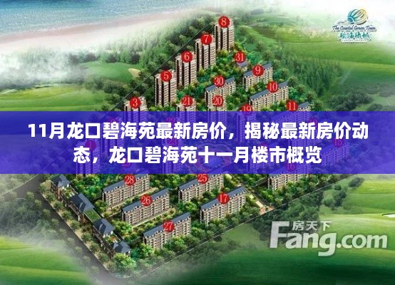 揭秘龙口碧海苑十一月最新房价动态与楼市概览