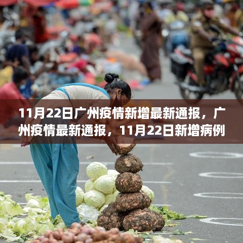 广州疫情最新通报，11月22日新增病例分析与最新动态